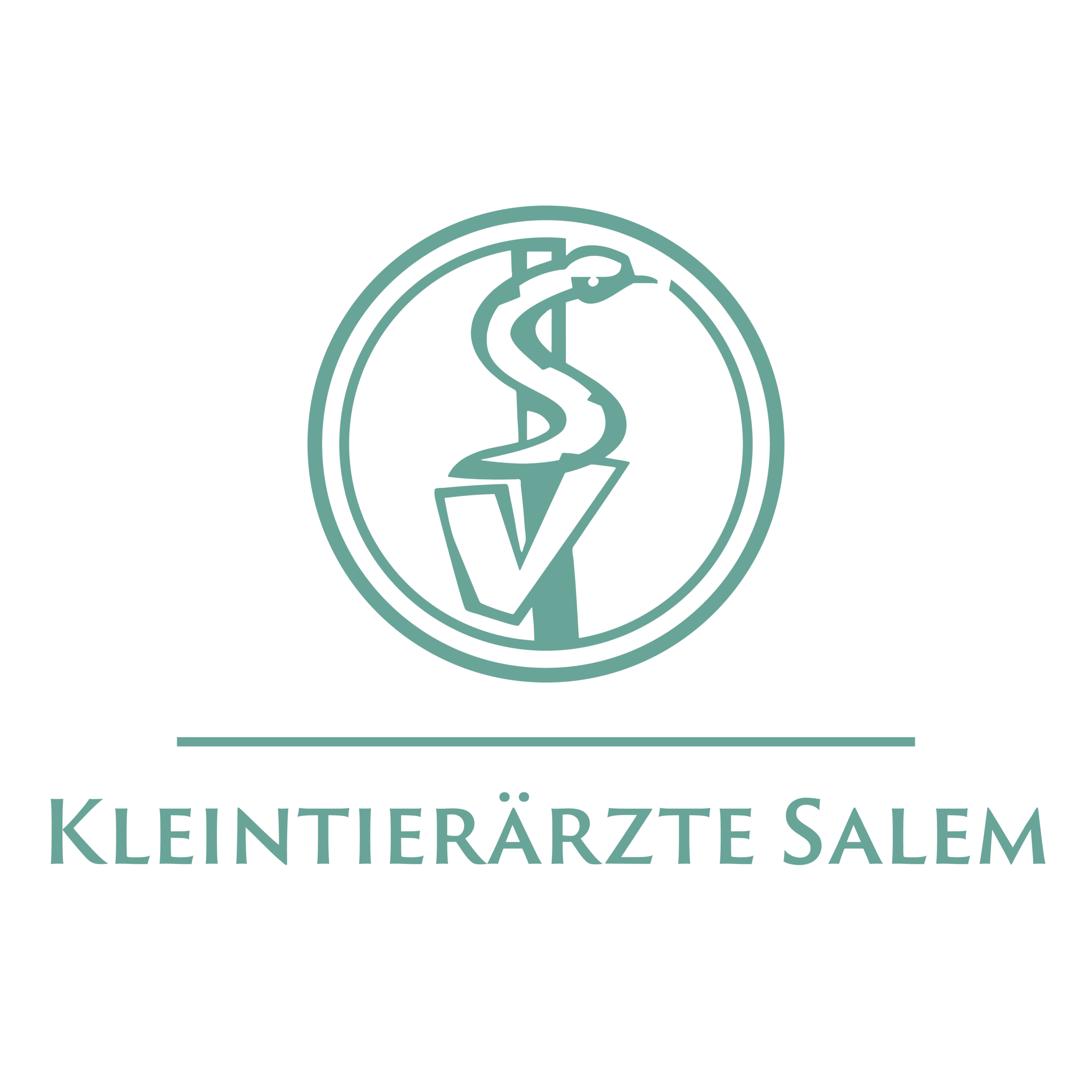 Logo der Kleintierärzte Salem mit türkisem Tierarzt-Symbol auf weißem Hintergrund.