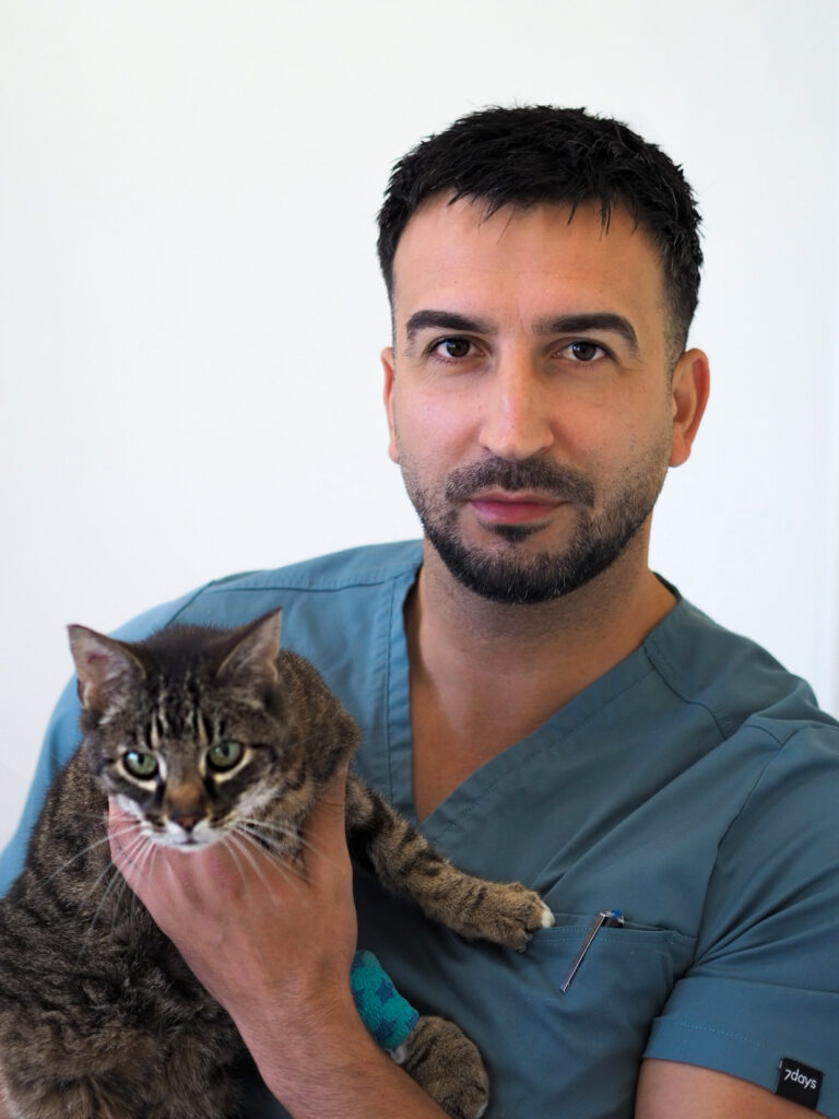 73-Ervin-Osmanhodzic-Kleintierärzte Salem Portraitbild des Tierarzts Ervin Osmanhodzic, der lächelnd eine Katze in die Kamera hält