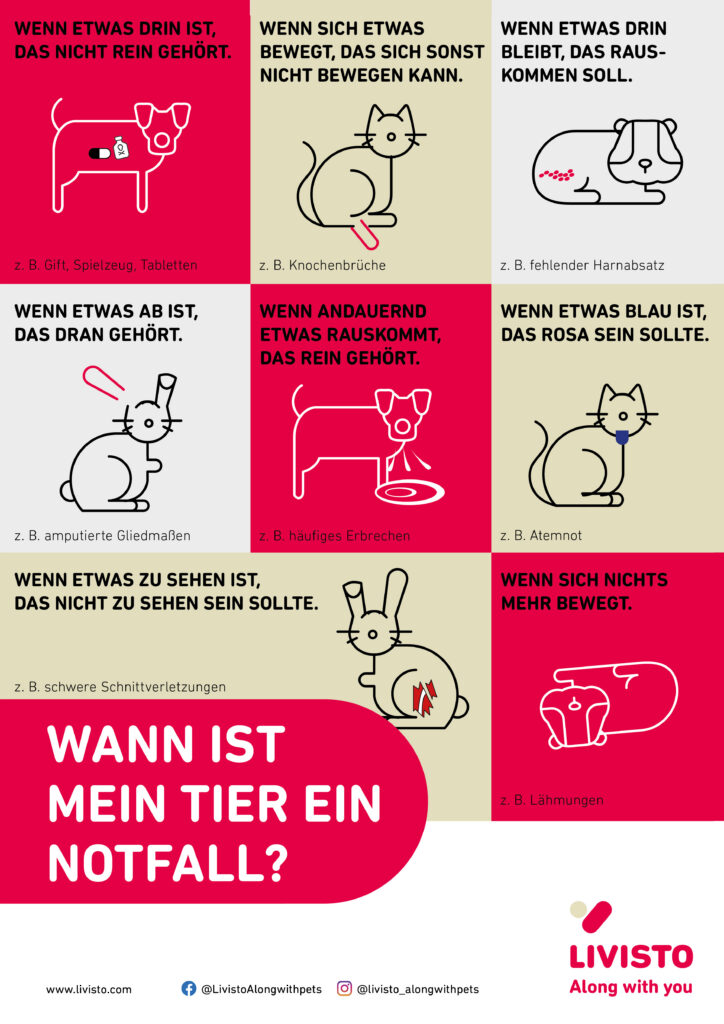 9-Wann_ist_mein_Tier_ein_Notfall_Poster_Livisto Informationsplakat zum Thema tierärztlicher Notfall.